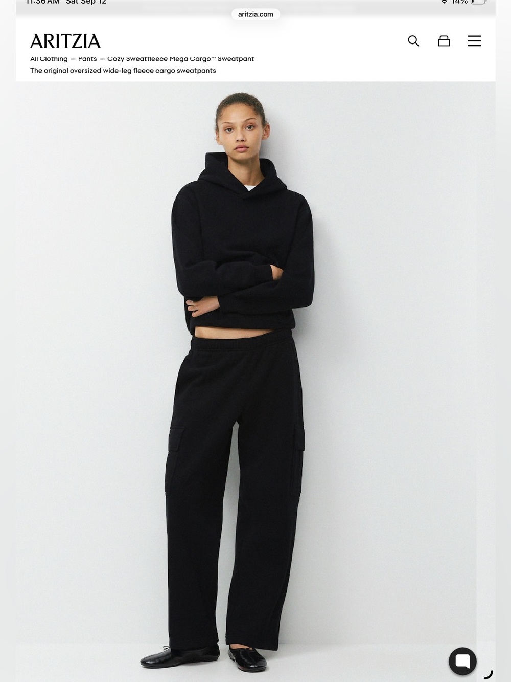 Aritzia Cozy Sweatfleece Mega Cargo Sweatpants Jogger